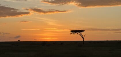 Mara sunrise