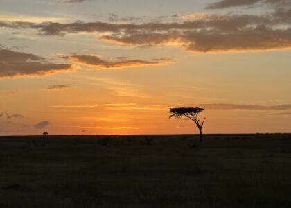 Mara sunrise